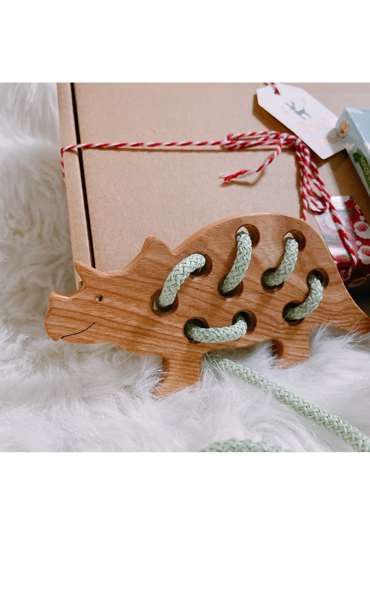 Mr. Tri lacing toy