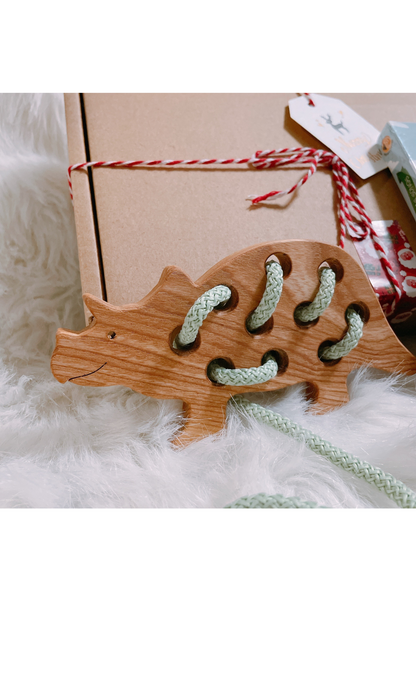 Mr. Tri lacing toy
